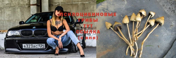 спайс Белоозёрский