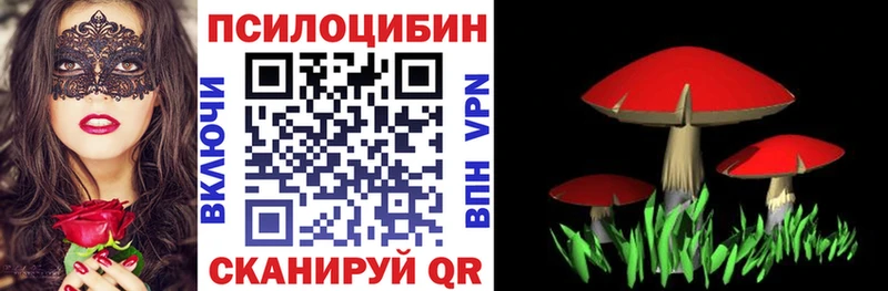 Галлюциногенные грибы Cubensis  дарнет шоп  Облучье 